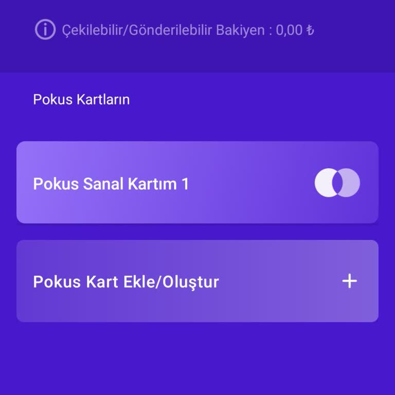 Sanal Kartıma Yansımayan Dijital Bakiye Ve Giriş Doğrulama Sorunları