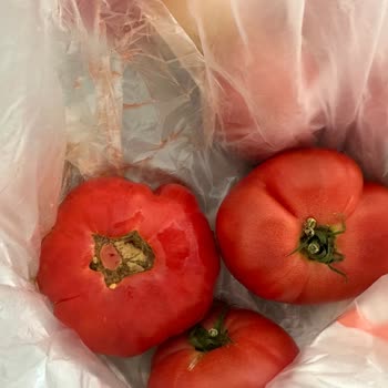Migros Sanal Market’te Çürük Ve Ezilmiş Domates Ve Salatalık Gönderimi