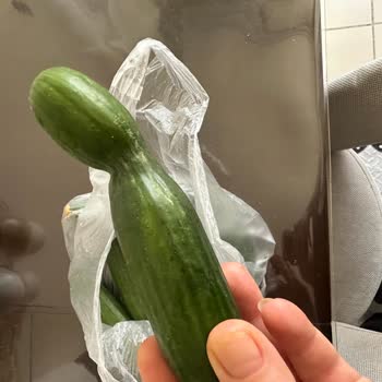 Migros Sanal Market’te Çürük Ve Ezilmiş Domates Ve Salatalık Gönderimi