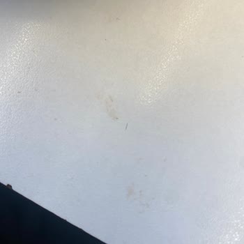 Hijyen Ve Servis Sorunları Köfteci Yusuf Gemlik Şubesi