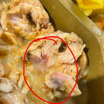 Çiğ Tavuk Ve Plastik Kap Mikrodalga Isıtması Sağlık Riski Yaratıyor