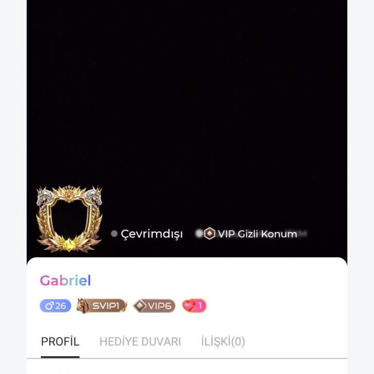Şifre Doğru Olmasına Rağmen Giriş Yapamıyor, Destek Yanıt Vermiyor