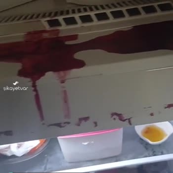 Beko'dan Aldığım Ürünler Arızalı, Dolaptaki Bütün Ürünlerim Çöp Oldu