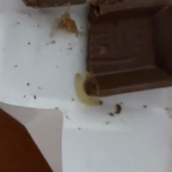 Nestle Damak Mini Çikolataların İçinde Kurt Çıktı, Sağlık Ve Güvenlik Endişesi