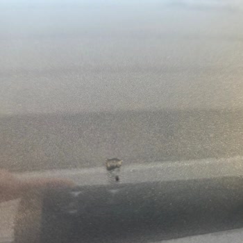 Sıfır Renault Kangoo’da Çizik, Kuş Pislikleri Ve İzinsiz Pasta Cila