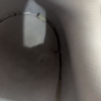 Nike Ayakkabısının Kısa Sürede Taban Çökmesi Ve Değişim Reddi