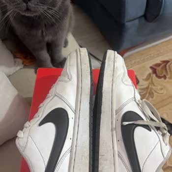 Nike Ayakkabısının Kısa Sürede Taban Çökmesi Ve Değişim Reddi