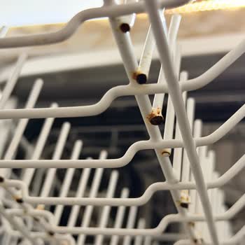 Arçelik Bulaşık Makinesinde Tekrarlayan Paslanma Sorunu Ürün Değişimi Talebi