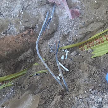 Şantiyede Kablolar Parçalandı, Yetkili Aksiyon Almıyor