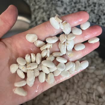 Duru Kuru Fasulyede Kabuk Ayrılması Ve Ücret İadesi Talebi