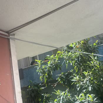 İzinsiz Kablo Döşenmesi Ve Mülk Zararına Karşı İnceleme Ve Tazminat Talebi
