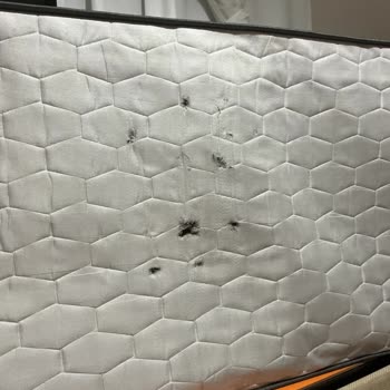 Yatakta Çökme Sorunu, 10 Yıl Yay Garantisine Rağmen Servis Fotoğrafla Reddetti
