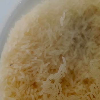 Böcekli Pirinç Satın Alımında Sağlık Riski Ve Marketin Cevapsız Tutumu