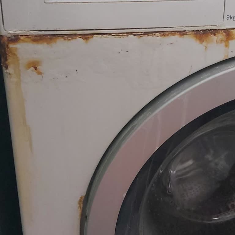 Bosch Çamaşır Makinesinde Deterjan Kapağının Paslanması