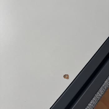 Teslim Edilen Yatak Seti Çatlak Ve Mağaza Ürünüyle Farklı, İade Talebi Reddedildi