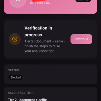Sidra Chain Blocked My Account After I Submitted Tier 2 KYC