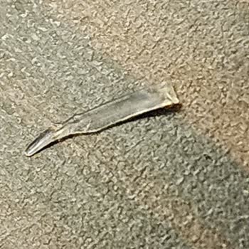 Cumhuriyet Sucukta Plastik Benzeri Yabancı Maddeyle Karşılaştım