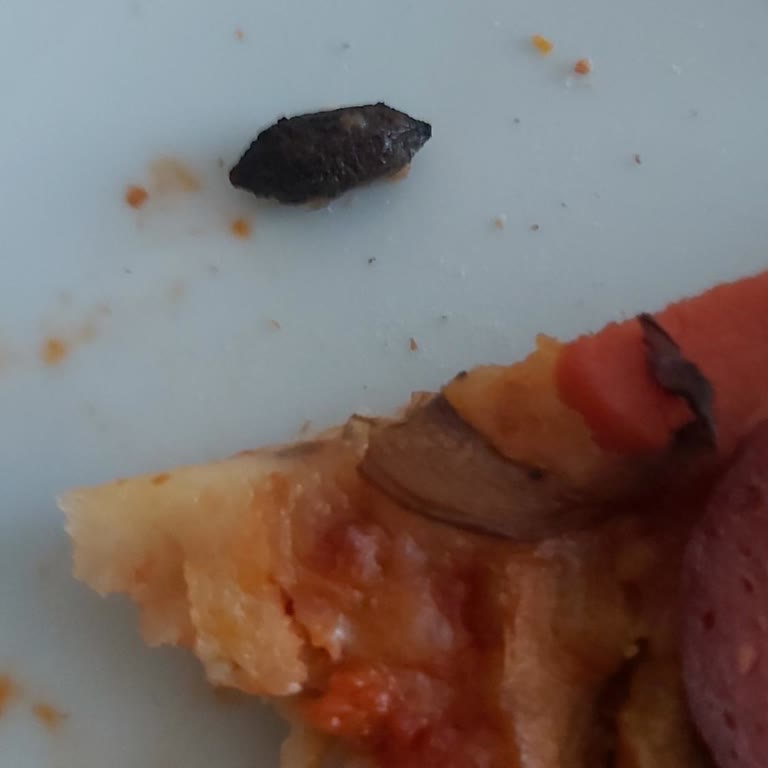Zeytin Çekirdeği İçeren Pizza Ve Tam İade Talebi