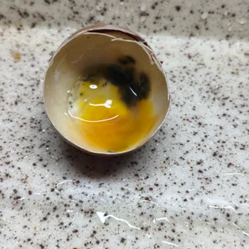 Organik Yumurta İçindeki Siyah Renk Sağlık Açısından Tehlike