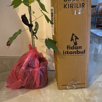 İlanla Uyuşmayan Ürün Gönderimi Ve Kargo Ücretinin İadesi Talebi