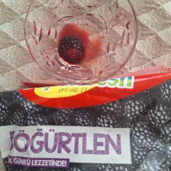 Böğürtlen Dondurmasında Kurt Görülmesi Hijyen Endişesi