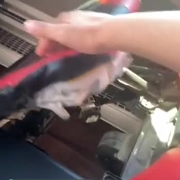 Isparta Petrol Turizm Otobüs Kalitesizliği