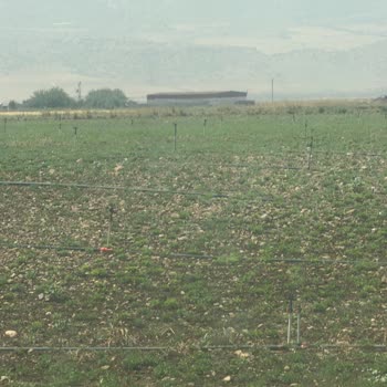 Dicle Elektrik Dağıtım Kesinti Sorunu