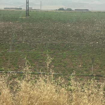 Dicle Elektrik Dağıtım Kesinti Sorunu