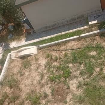 İzinsiz Açılan Su Kuyusu Ve Elektrik Bağlantısının İptali Talebi