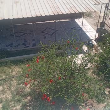 İzinsiz Açılan Su Kuyusu Ve Elektrik Bağlantısının İptali Talebi