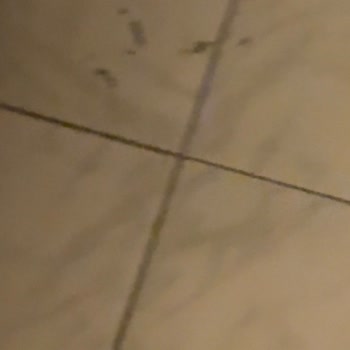 Eki aç