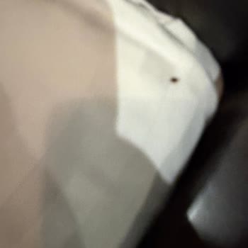 Böcekli Odalar Ve Hijyen İhmali Nedeniyle Tur İadesi Talebi