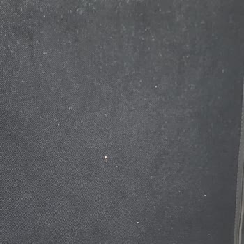Exvega Koltuğunda Kalite Düşüşü Ve Yanıltıcı Ürün Açıklamaları