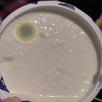 A101'de Son Kullanma Tarihine Rağmen Küflü Yoğurt