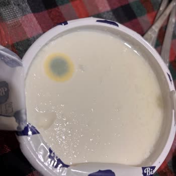 A101'de Son Kullanma Tarihine Rağmen Küflü Yoğurt