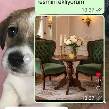 58 Bin TL'lik Berjer Siparişi Teslim Edilmedi, İade Talebi