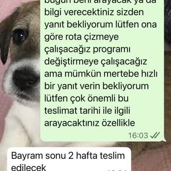 58 Bin TL'lik Berjer Siparişi Teslim Edilmedi, İade Talebi