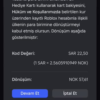 Yanlış Para Birimiyle Gelen Roblox Kodu, Bot Destek Sorunu Ve İade Talebi