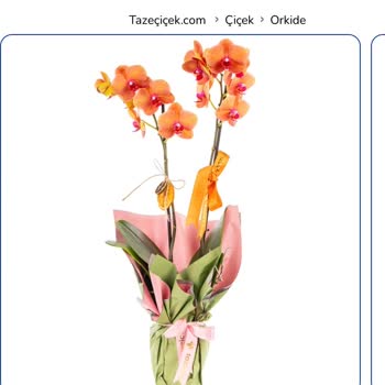 Taze Çiçek | Tazecicek.com Şikayeti