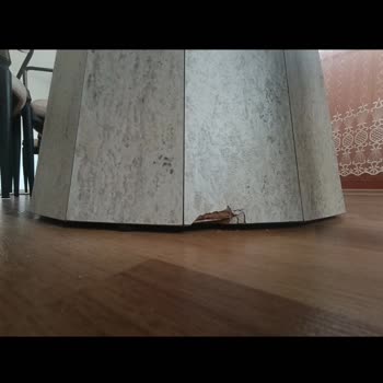 Kusurlu Mobilyalar Ve İhmal Edilen Satış Sonrası Destek