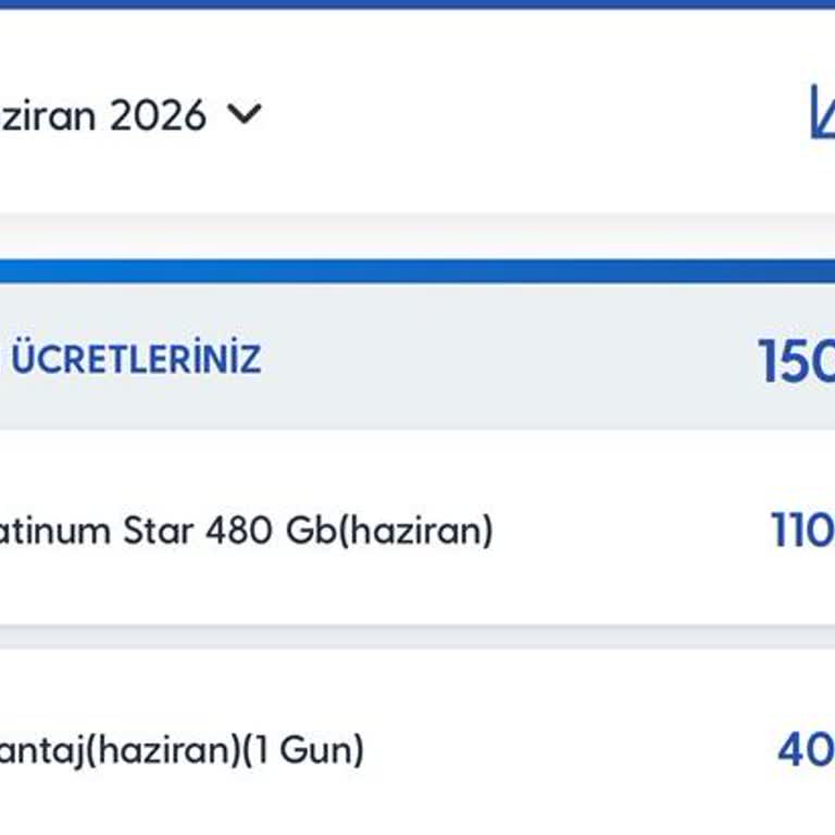 Marmaris’teyken Yurt Dışı Ücretinin Hatalı Yansıtılması İptali
