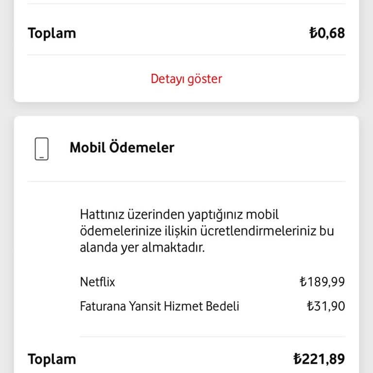 Netflix Kampanyasında Ücretsiz Süre Yanıltması Ve Haksız Ücret Kesintisi