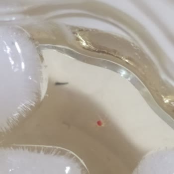 BİM Şubesinde Dimes Cool Lime İçeceğinde Örümcek Bulunması