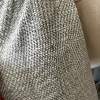 Kısa Sürede İp Atması Yaşadığım Blazer Cekette Üretim Hatası Ve Bilgilendirme Eksikliği