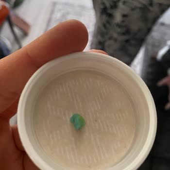 Trendyol Üzerinden Satın Alınan Doctamin Gummy Ürünün İçinde Yabancı Cisim Bulundu