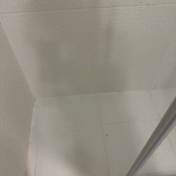 Banyo Ve Tuvalet Hijyeninde Yetersiz Temizlik Ve İlgisiz Personel