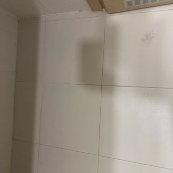 Banyo Ve Tuvalet Hijyeninde Yetersiz Temizlik Ve İlgisiz Personel