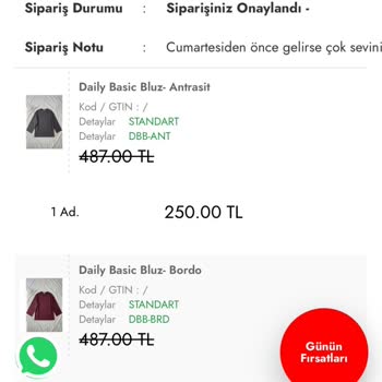 Instagram Butiğinde Ödenen Bluzların Teslim Edilmemesi Ve Şüpheli Kargo