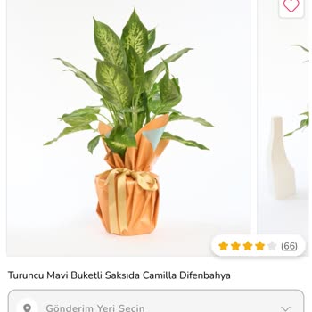 Çiçek Sepeti Görseldeki Çiçek Boyutu Ve Tasarımıyla Gerçek Ürün Arasındaki Farklılık