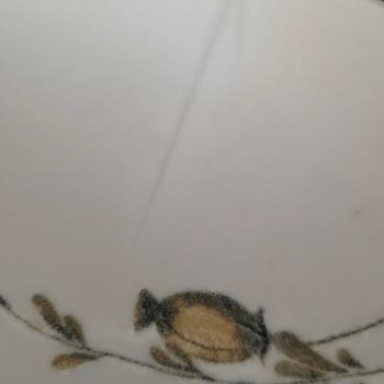 Tek Tabak Çatlaması Nedeniyle Tüm Yemek Takımının İadesi Talebi
